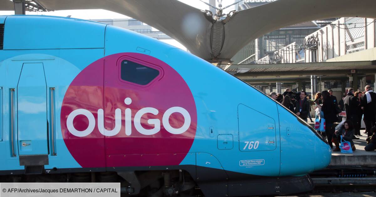 J Ai Raté Mon Train Ouigo SNCF: des TGV low-cost Ouigo au départ de Montparnasse dès décembre