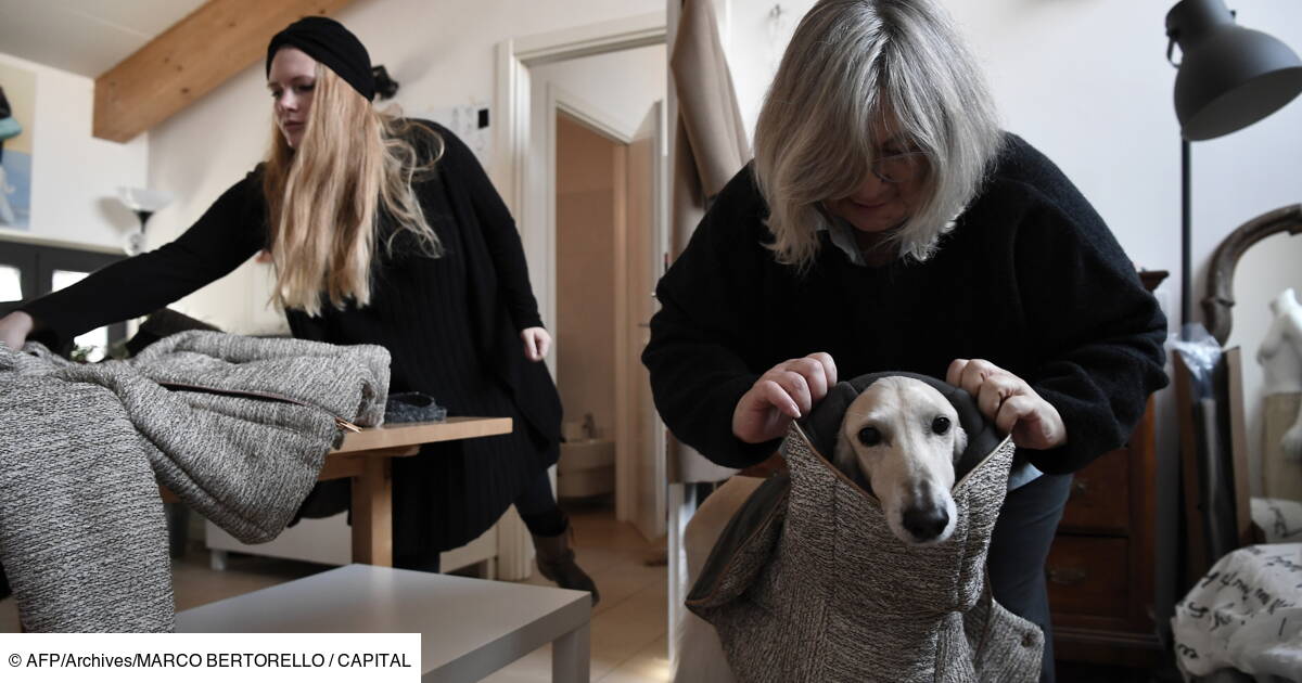 Milan Capitale De L Elegance Egalement Pour Les Chiens Capital Fr