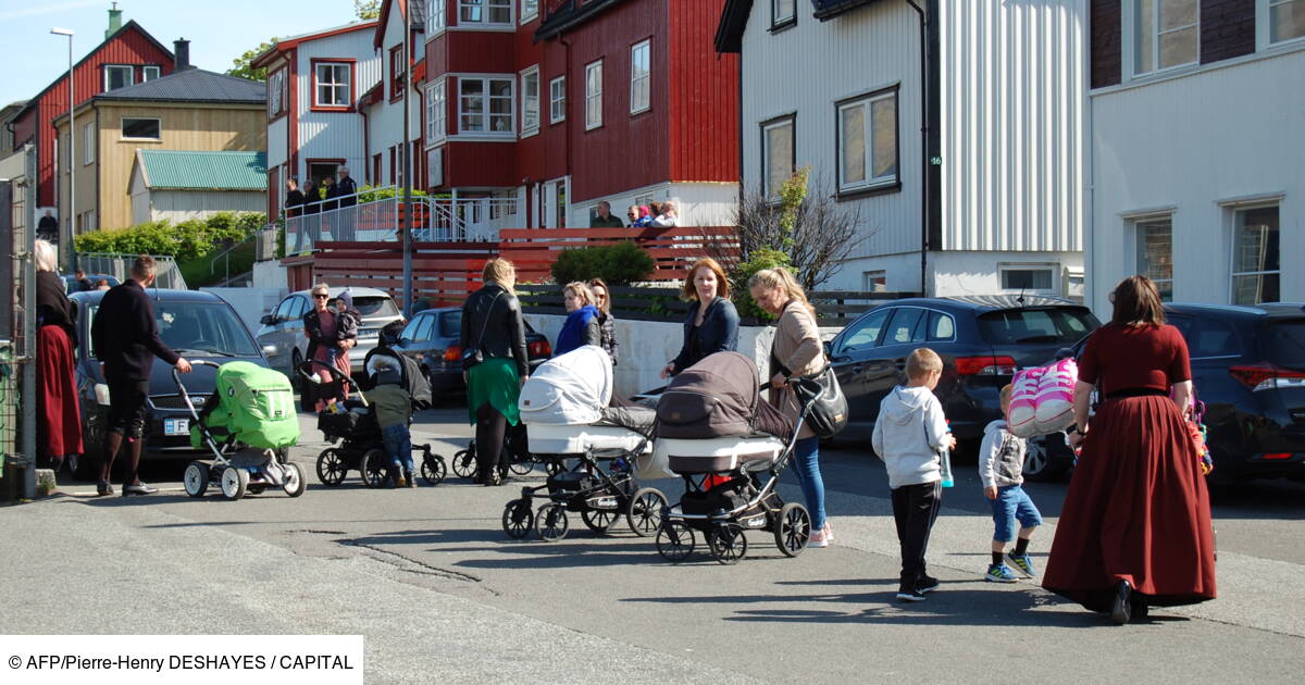 Boulot Marmots Dodo Les Iles Feroe Pouponniere Hyperactive Dans L Atlantique Nord Capital Fr