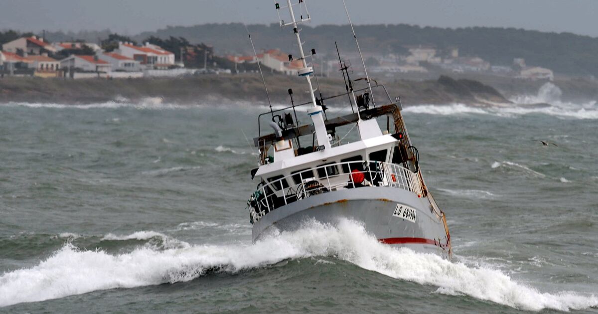 220 idées de Pêche  pêche, bateaux de peche, bateau