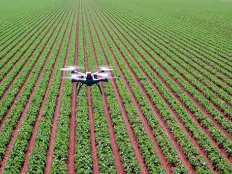 Médias, agriculture, immobilier... les 8  métiers qui font décoller les drones professionnels