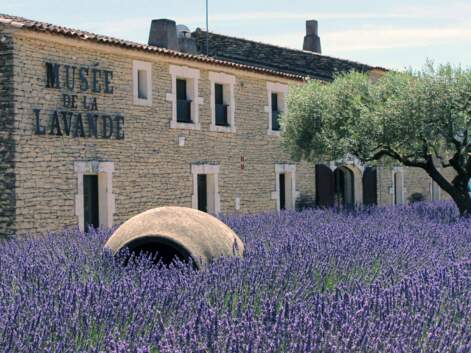 Provence : ces usines à visiter pendant les vacances