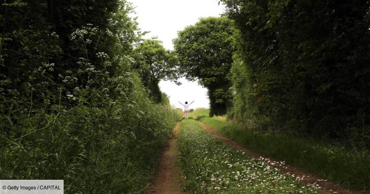 Droit de passage : définition et fonctionnement - Capital.fr