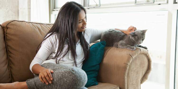 Posséder Un Chien Ou Un Chat Combien ça Coûte Vraiment