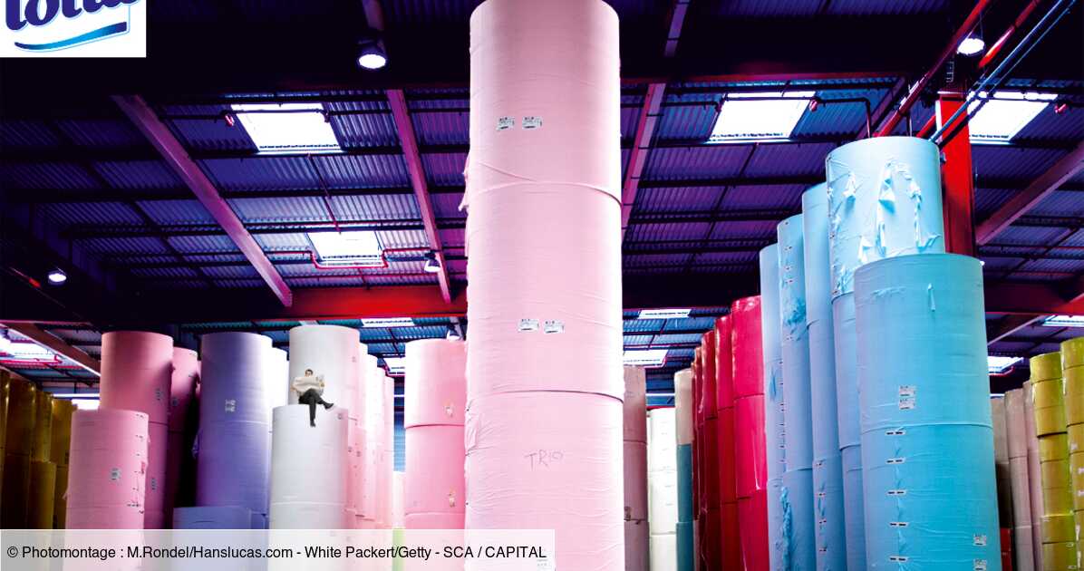 Le suédois Essity produira encore plus de papier toilette à Gien - Le  Parisien