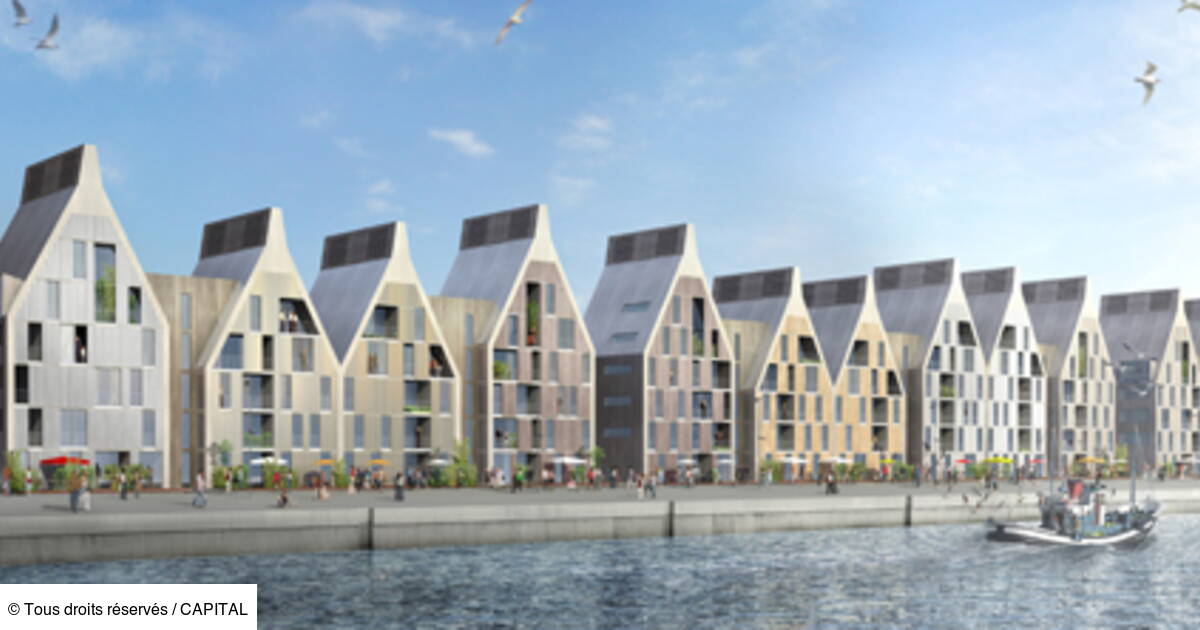 Hlm Les Scandales Du Logement Social Capital Fr