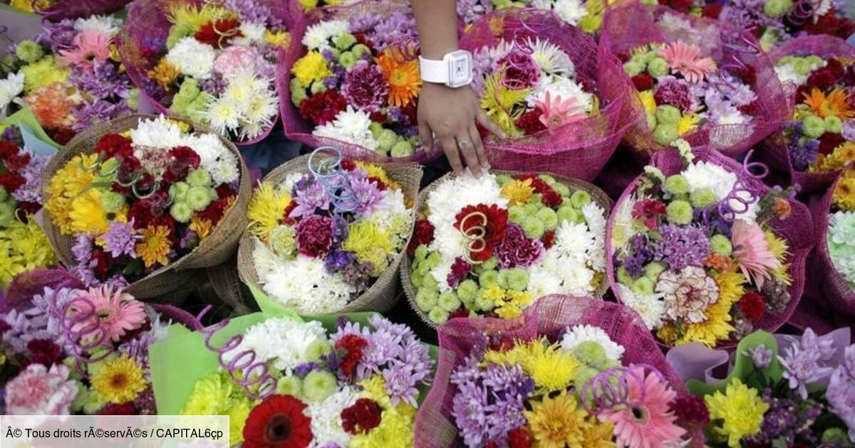 Где Купить Срезанные Цветы