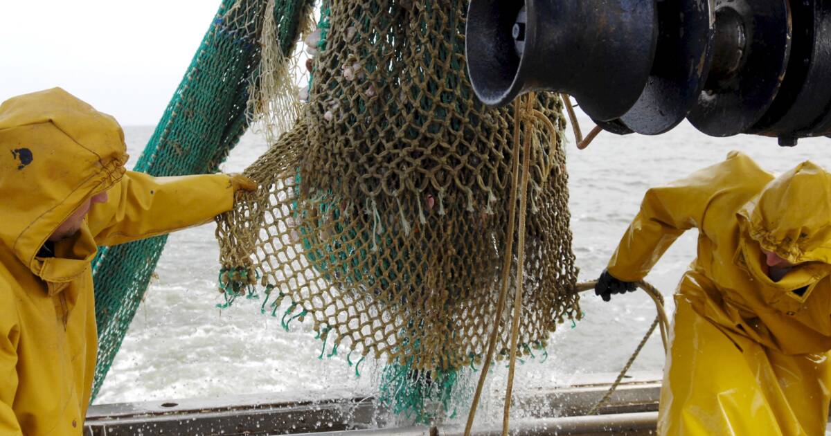 Marin Pêcheur Un Métier De Passion Capital Fr