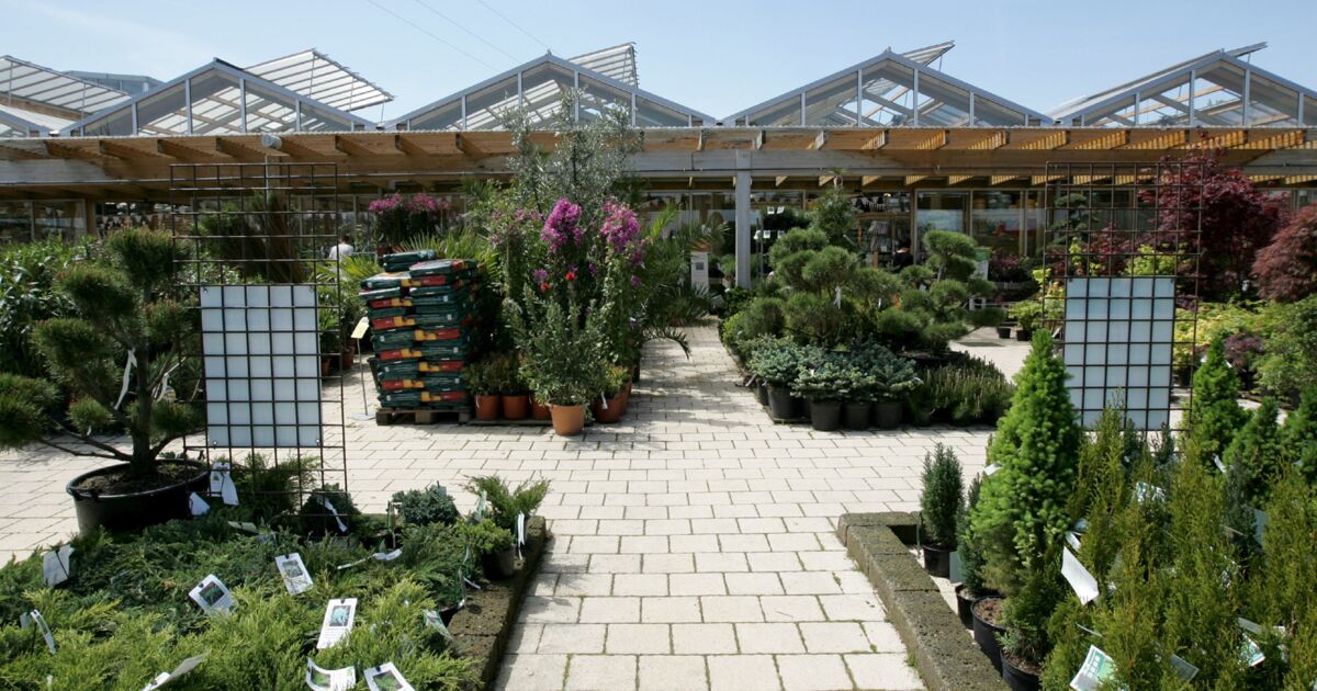 botanic® : jardinerie écologique, animalerie, décoration, alimentation bio