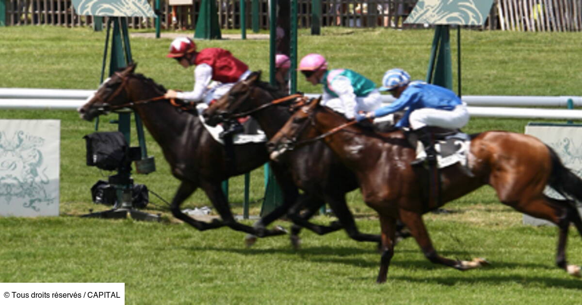 Acheter Un Cheval De Course En Multipropriété