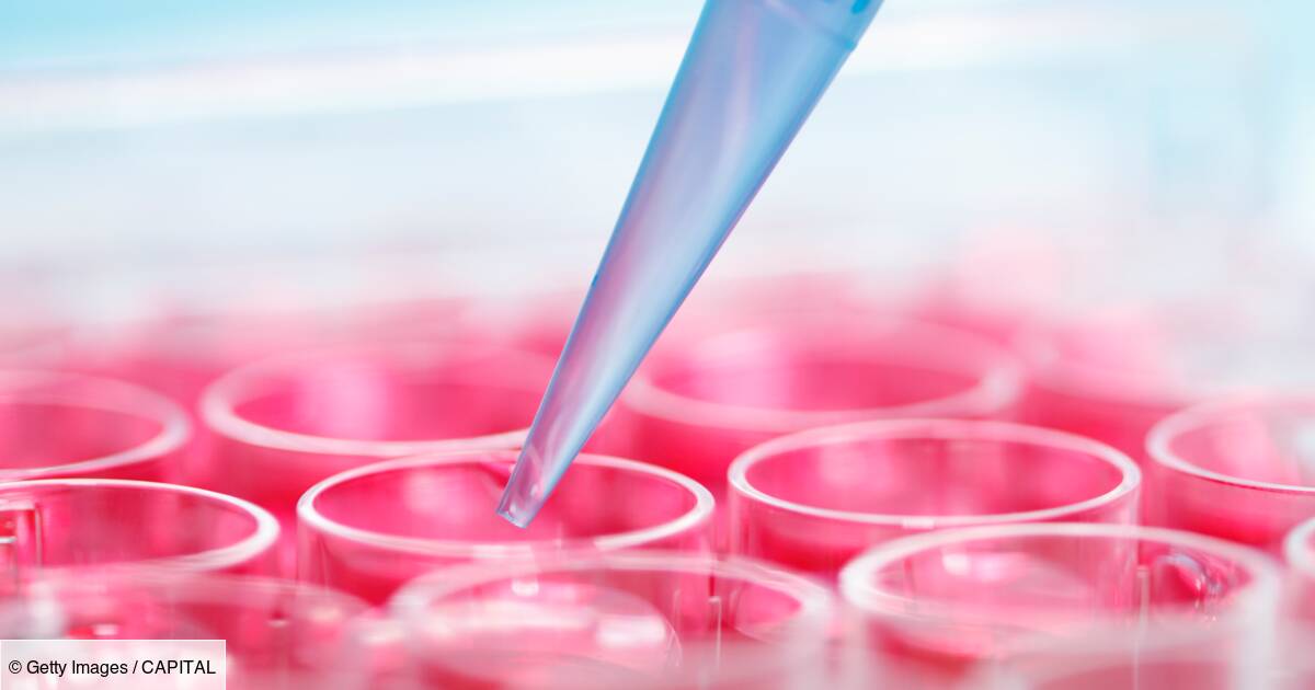 Les biotechs, un placement auquel vous devez vous intéresser - Capital.fr
