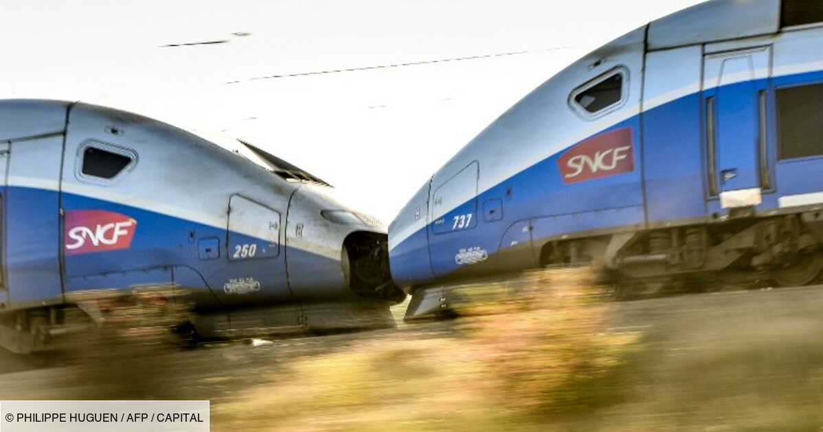 Trains En Retard, Régimes Spéciaux… Et Si On Privatisait La SNCF