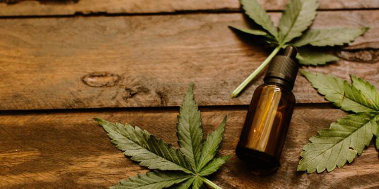 La ministre de la Santé veut fermer les coffee shops — Cannabis La ministre de la Santé veut fermer les coffee shops — Cannabis