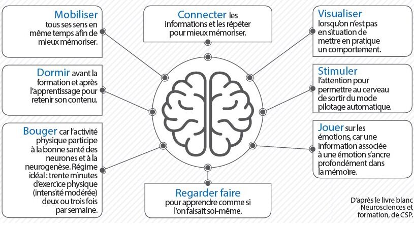 Apprendre A Dompter Son Cerveau Pour En Tirer Le Meilleur Capital Fr