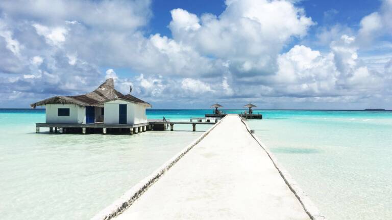 Un Groupe De Francais Met La Main Sur Une Ile Paradisiaque Capital Fr