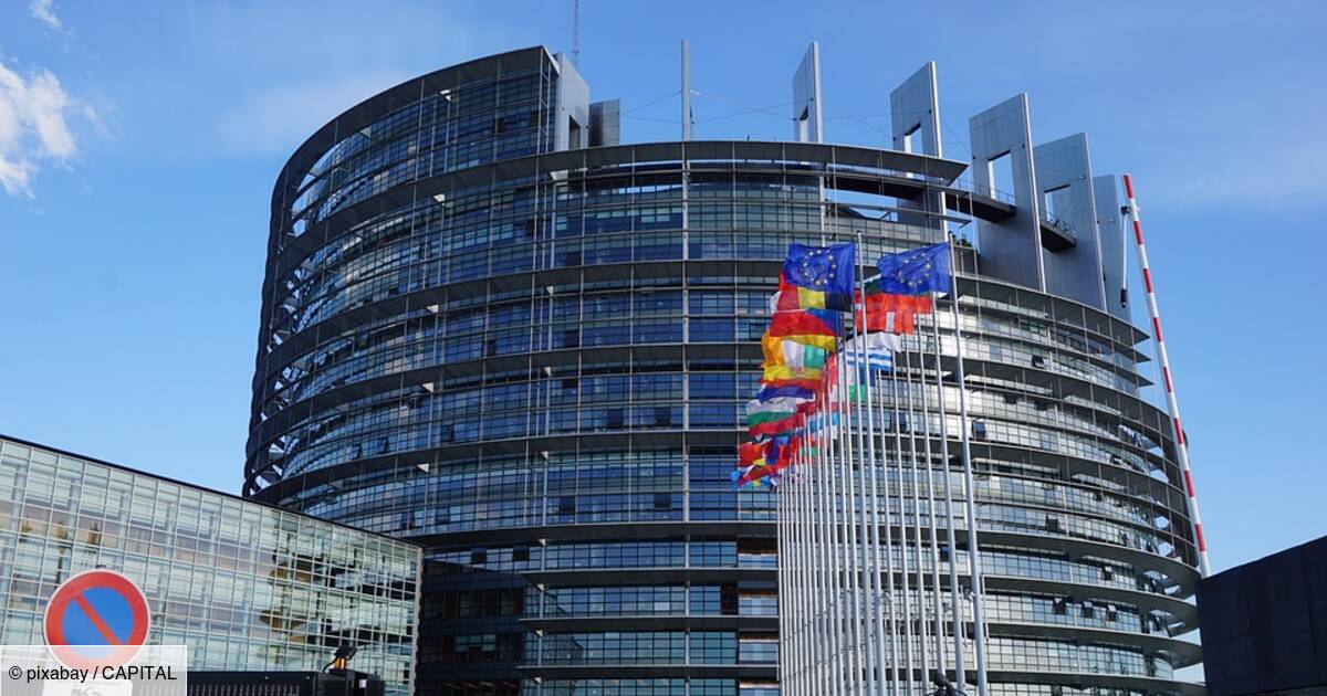 Comment Les Deputes Europeens Arrondissent Grassement Leurs Fins De Mois Capital Fr