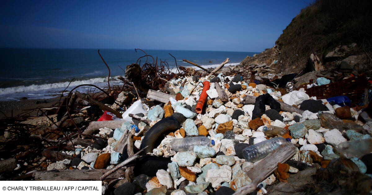 Cabourg Accuse Le Havre De Polluer Sa Plage Capital Fr