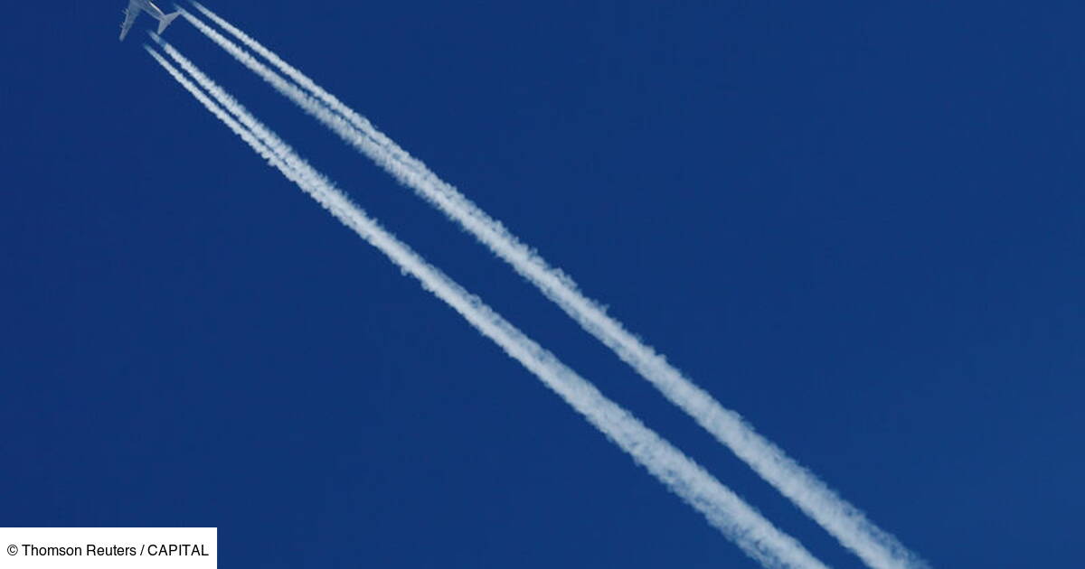 La Compagnie Aerienne Primera Air Cesse Ses Activites Capital Fr