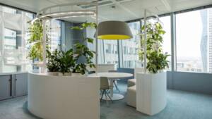 Le potager de bureau, facilitateur de bien-être au travail !