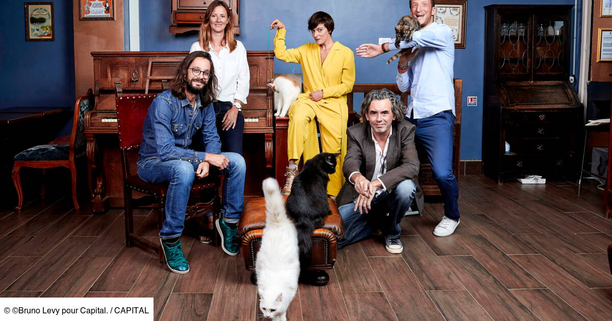 Le Succes Fulgurant Des Cat Sitters Jusqu A 70 Euros La Journee Capital Fr