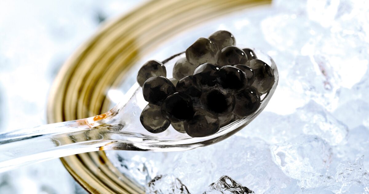 Du producteur au consommateur, le caviar français Prunier