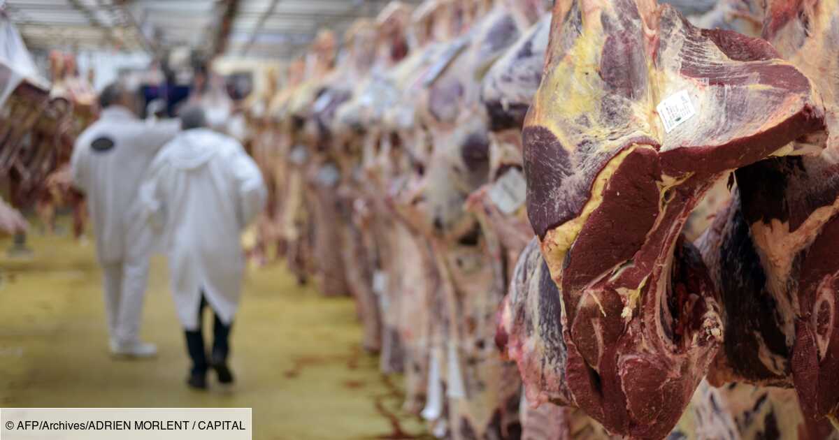 Stwierdzono, że polskie mięso jest nieuczciwie sprzedawane we Francji, ale trudno je usunąć