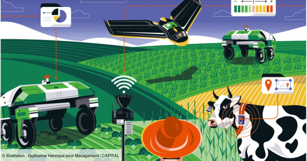 Ces innovations technologiques qui révolutionnent l'agriculture