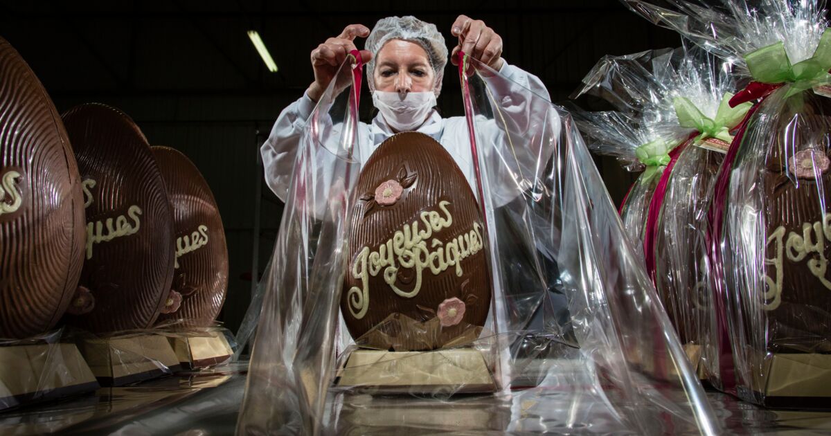 De la salmonelle dans l'usine principale de chocolat du géant