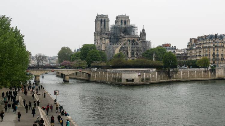Notre-Dame : des conseillers municipaux refusent le don de leur commune