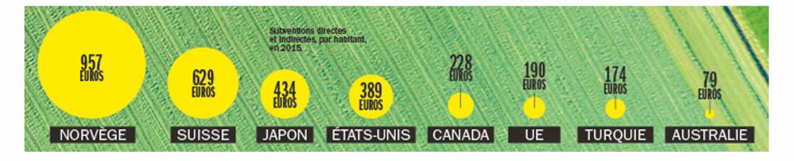 Grace A La Pac Nos Agriculteurs Sont Encore Leaders En Europe Capital Fr