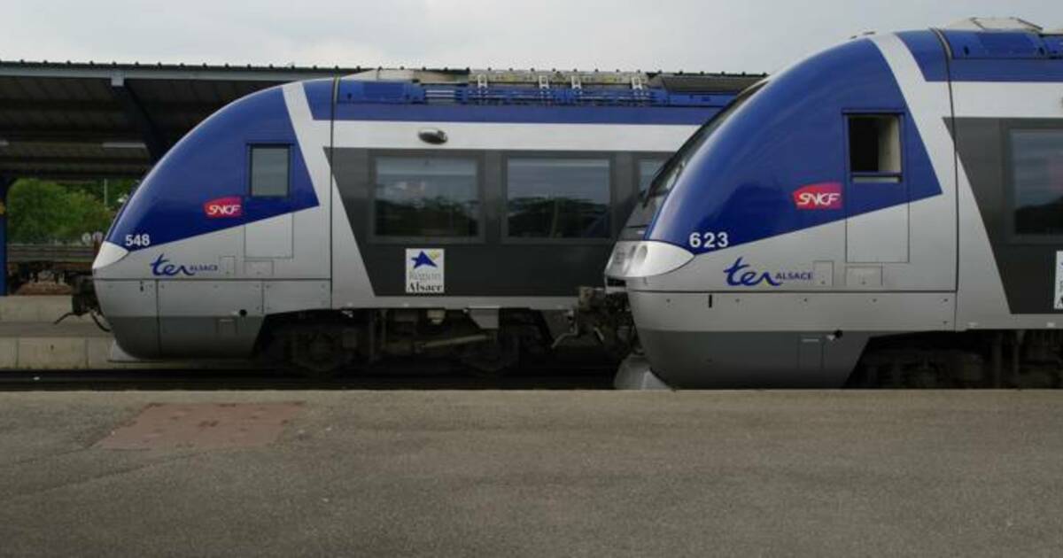 Le TER Metz-Luxembourg sera-t-il à frontière en ? - Capital.fr