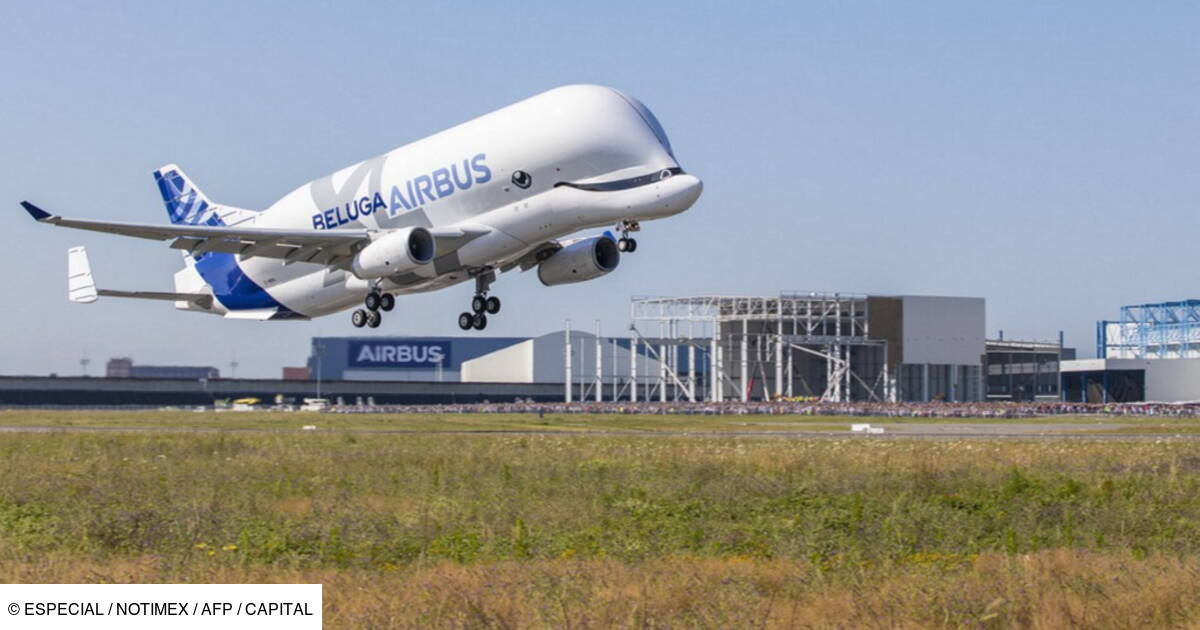 Le Beluga Xl Est Trop Grand Pour Certains Hangars D Airbus Capital Fr