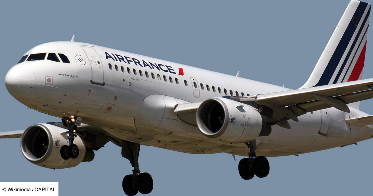 Les Actions Air France Klm Vont Elles S Effondrer Le Conseil Bourse Du Jour Capital Fr