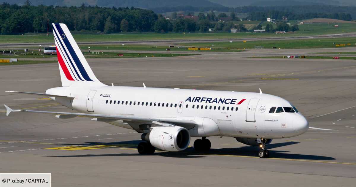 Un vol Air France retard cause d un chien cach dans un sac