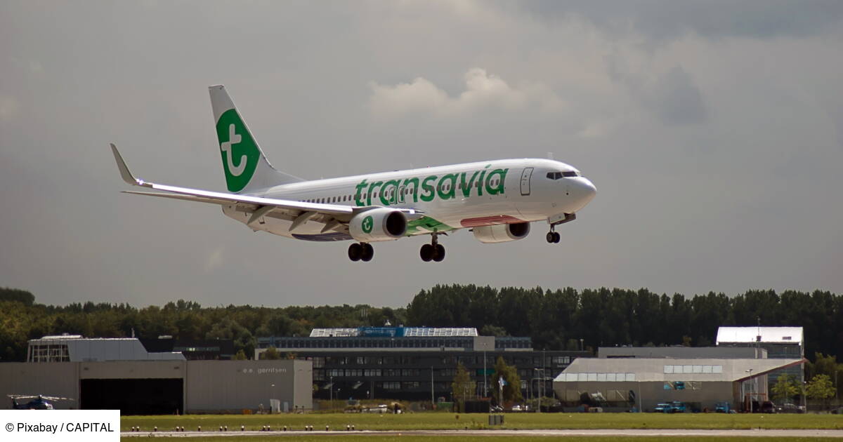 Air France Klm Transavia Et Hop Vont Suspendre Tous Leurs Vols Capital Fr