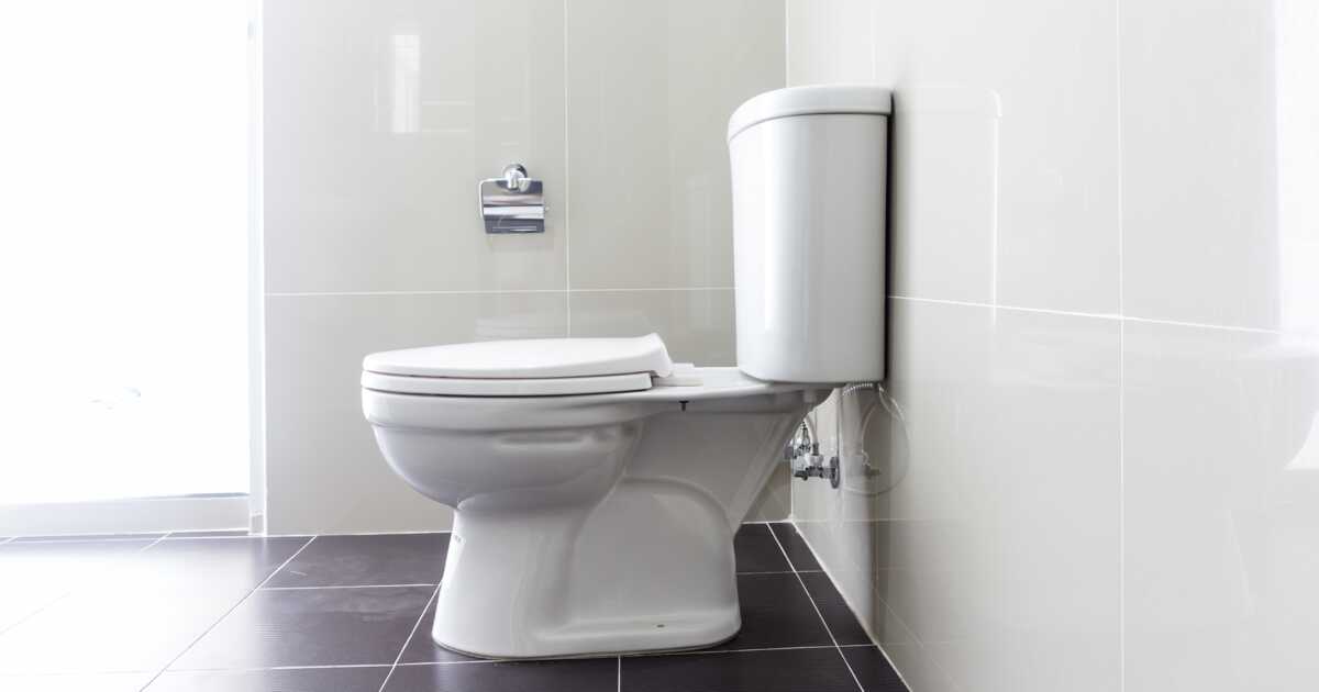 Ces toilettes permettent d'analyser directement vos selles 
