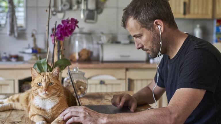 Teletravailler Avec Un Chien Ou Un Chat Les Conseils D Une Veterinaire Capital Fr