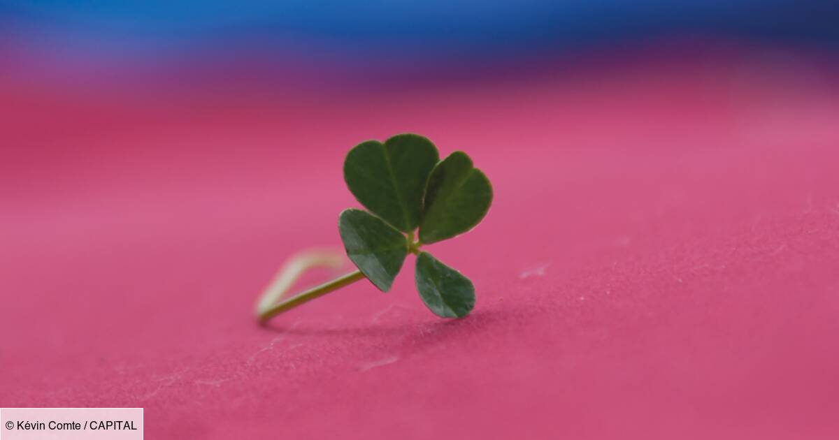 Savoir Si Ses Numéros Euromillions Sont Déjà Sortis Savoir Si Ses Numeros Euromillions Sont Deja Sortis - polhand