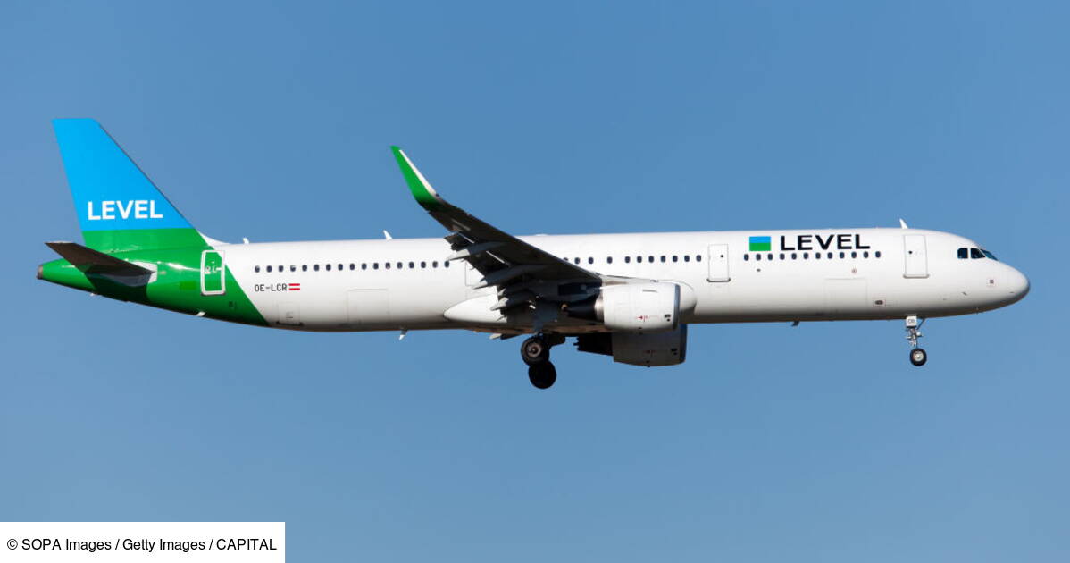 La Compagnie Level France Devrait Bientot Disparaitre Capital Fr