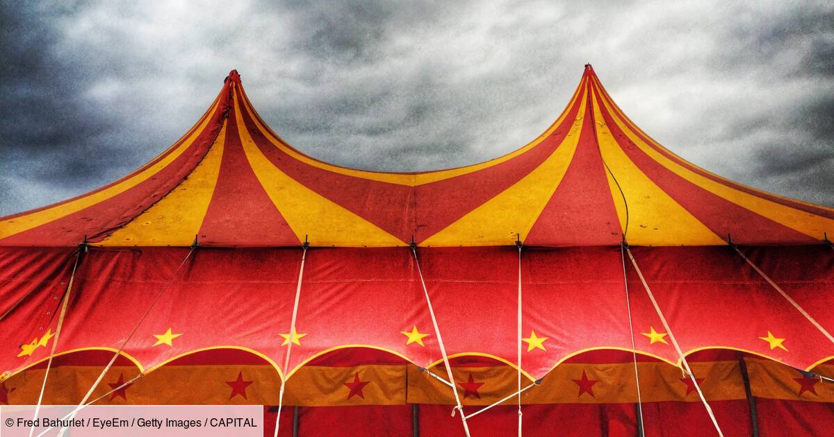 Le cirque Muller au coeur d'une (nouvelle) polémique - Capital.fr
