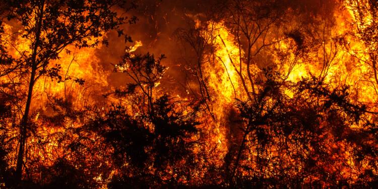 3 000 Personnes Evacuees Apres Un Incendie Cause Par Une Fete De Famille Capital Fr