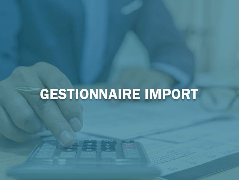 Gestionnaire import 