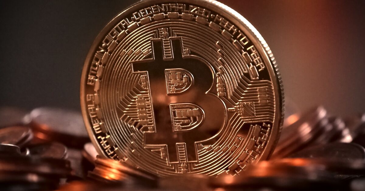 Le Bitcoin bat un nouveau record et s'envole au delà des 50 000 dollars -  Le Parisien