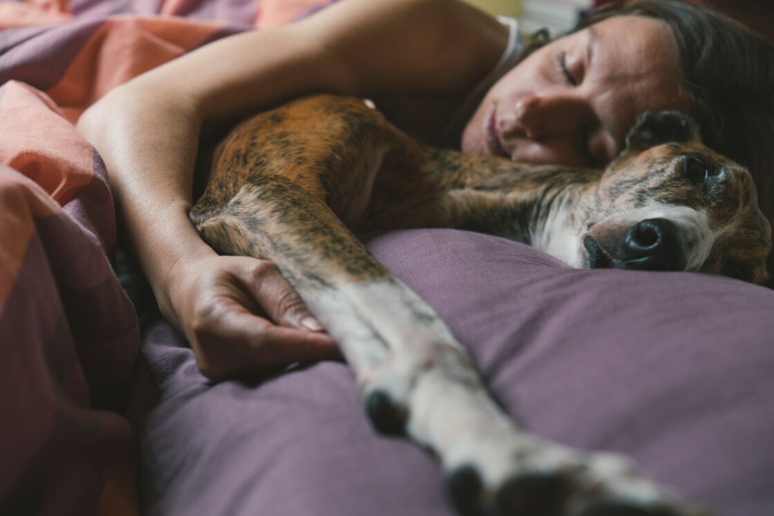 Ihr lasst euren Hund in eurem Bett schlafen? Dann begeht ihr womöglich