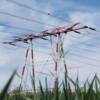 L’Etat met EDF à contribution pour limiter la facture d’électricité des Français
