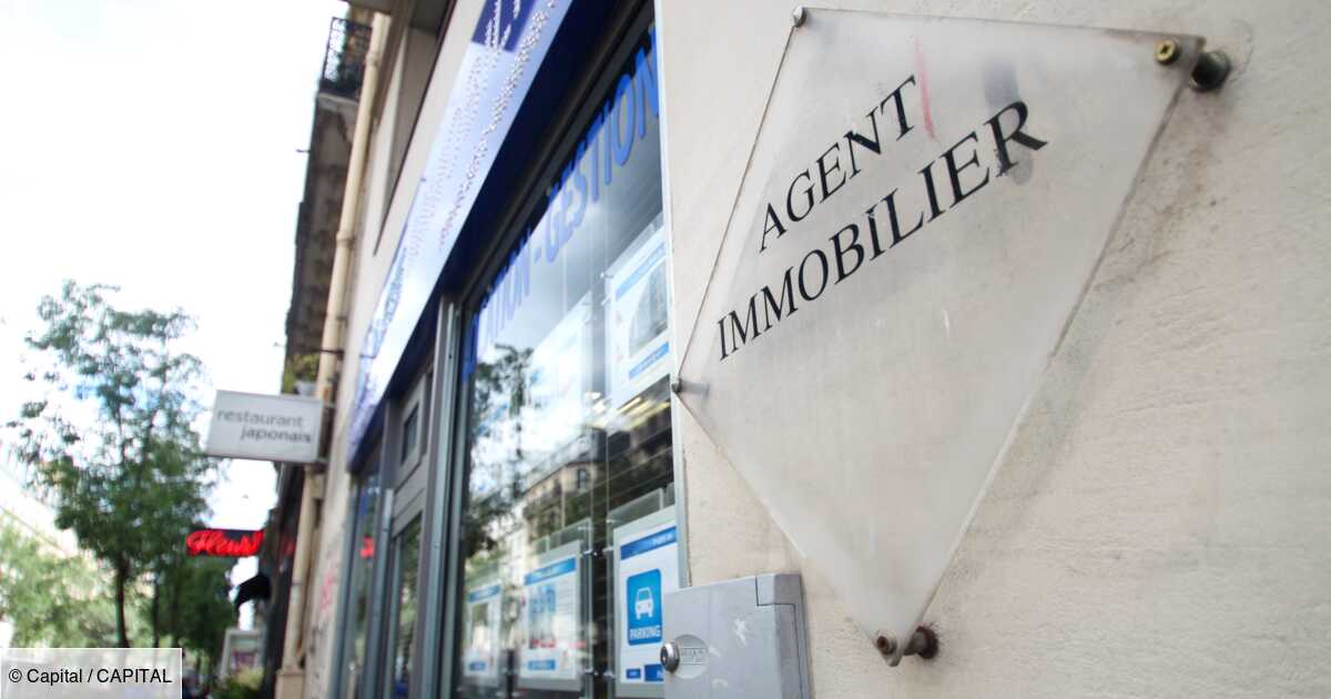 Obligation of training before authorization of real estate negotiators and managers: To be able to powder in the eyes