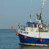 Pêche post-Brexit : de nouvelles licences accordées aux pêcheurs français