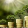 Placements verts : notre sélection de fonds les plus performants