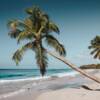 Couvre-feu en Martinique et à La Réunion : peut-on obtenir un remboursement de ses vacances ?