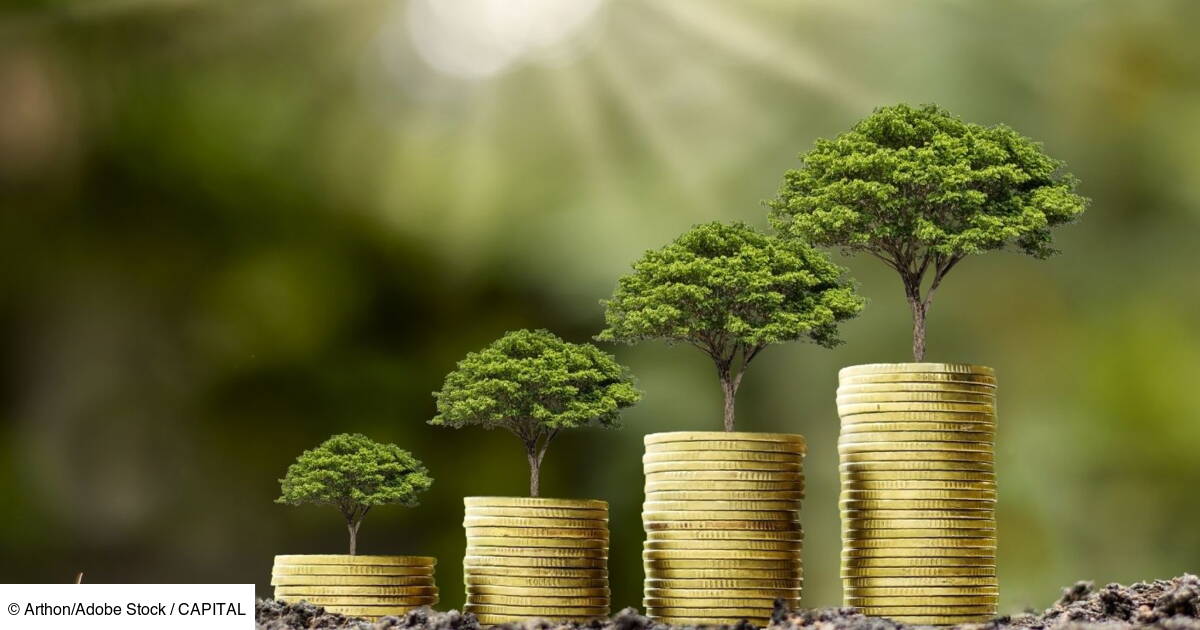 Planification écologique : où se situe la France par rapport aux autres pays européens ?